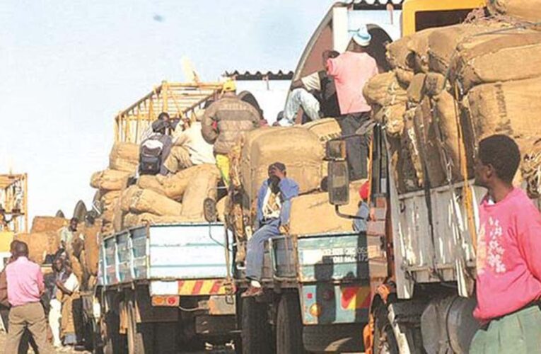 Tobacco sales open in Bindura