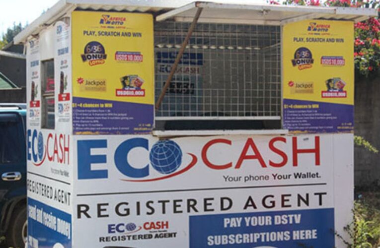 Ecocash$ave Suspended With Effect From 6 March