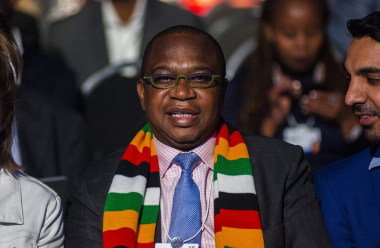 Reforms, Zimbabwe positive outlook excite foreign investors