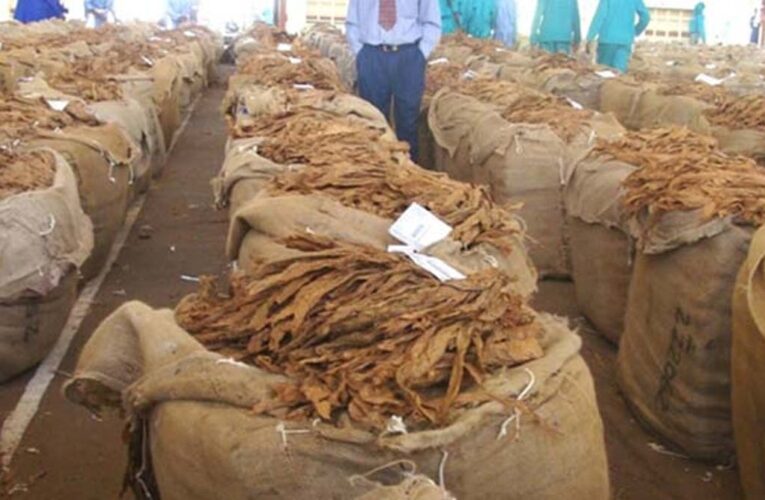 Zimbabwe generates 169 mln USD in tobacco sales in a month