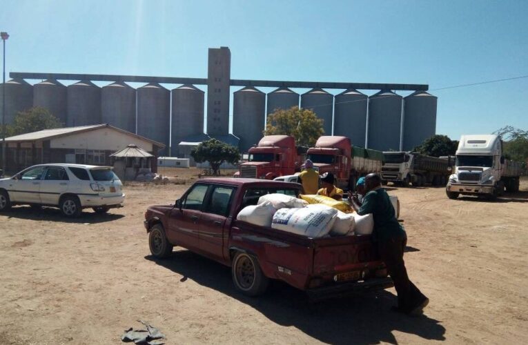 Grain deliveries to GMB begin