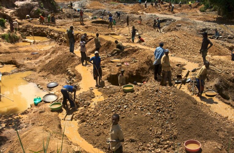 ZMF calls for full utilisation of mining claims