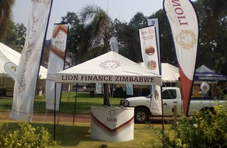 Lion Microfinance finally out of curatorship