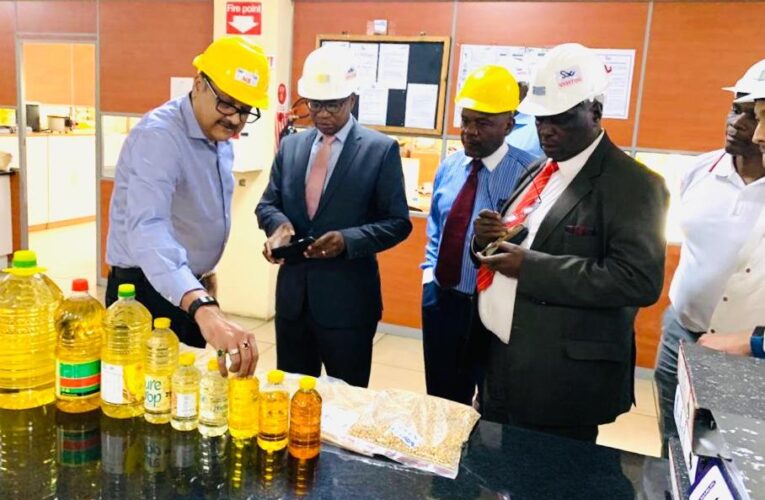 Olivine completes margarine, tomato source plant construction