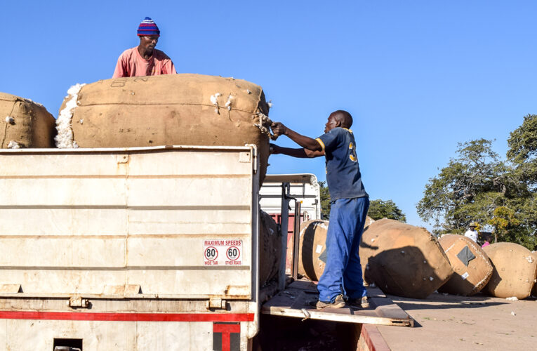 Farmers told to adopt hybrid cotton seed