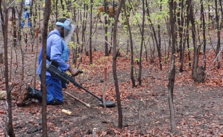 US avails US$3m for demining activities