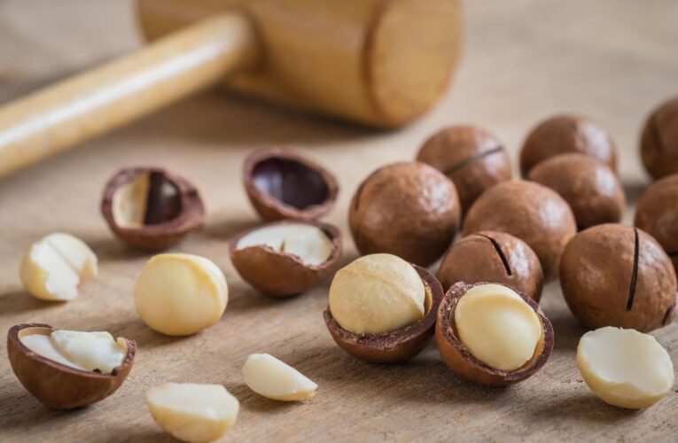 ‘Zim has capacity to produce 12 tonnes macadamia nuts per hectare’