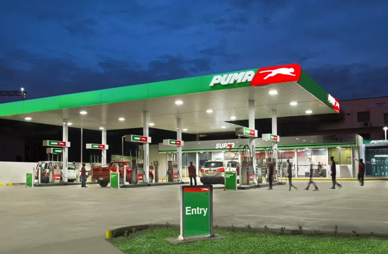 Puma Energy unveils US$30m expansion plan