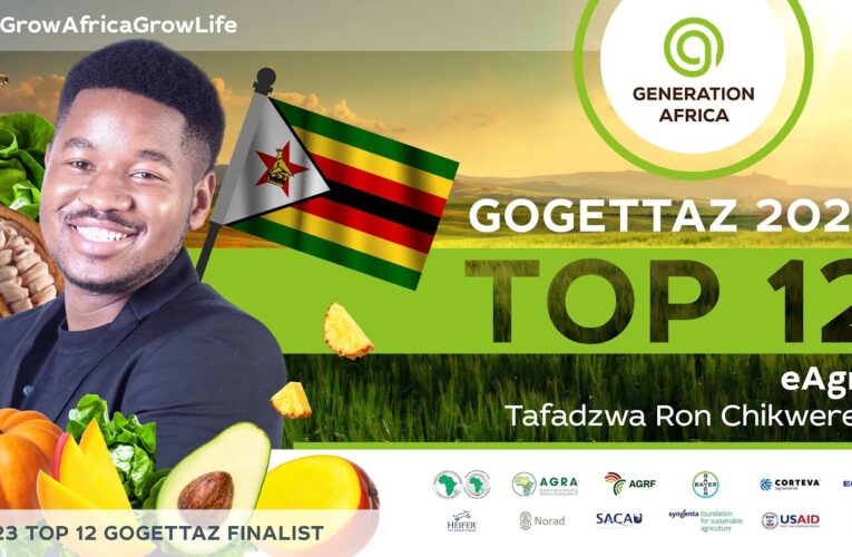 Zim agri-tech entrepreneur among top in Africa