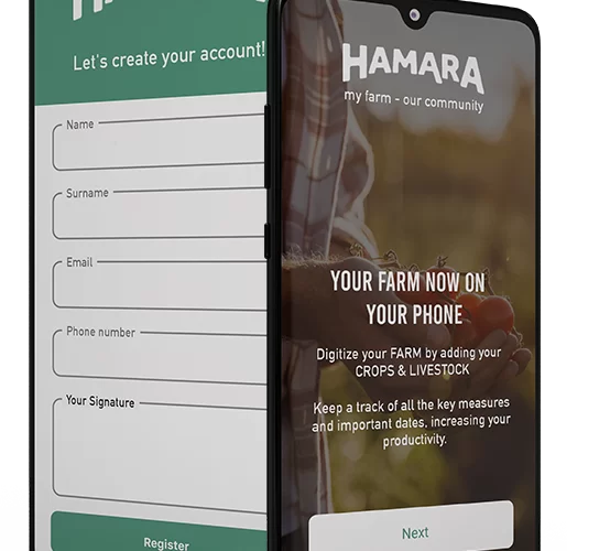 Agro firm creates app to link farmers to potential investors