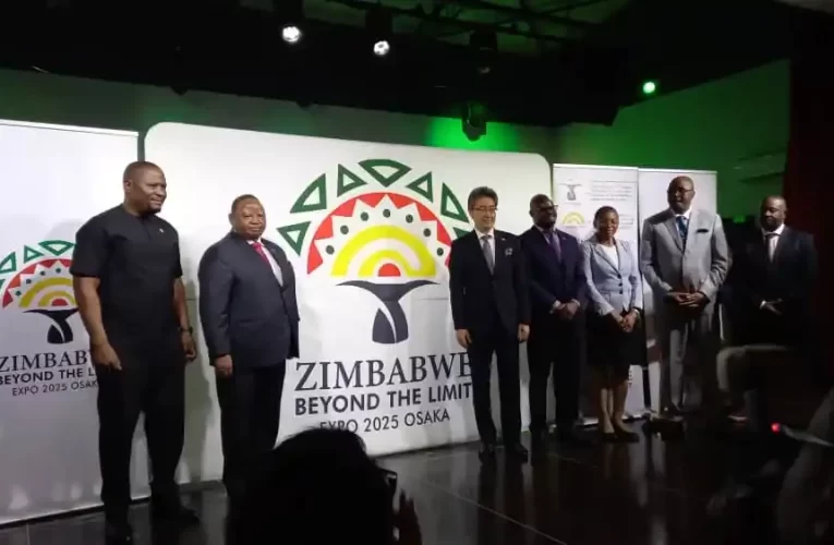 Zim, Japan unveil Osaka Expo 2025 logo