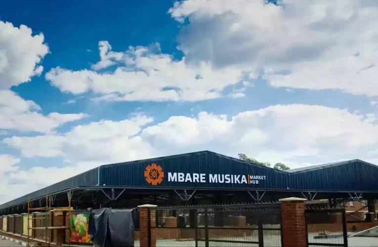 Mbare Musika model to go national