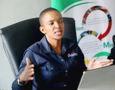 “Safari sector drives Tourism boom” : Minister Rwodzi